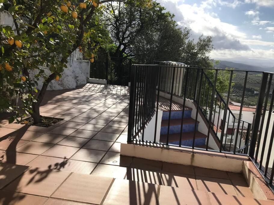 Mirador Del Olivar Olvera Extérieur photo